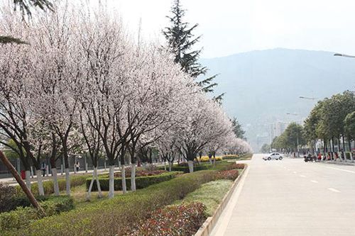 眉山市信息工程中等职业技术学校计算机应用专业简介