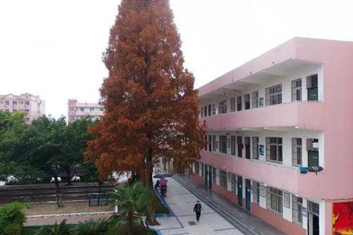 开云kaiyun(中国)省资阳市雁江区职业技术学校建筑工程施工专业简介