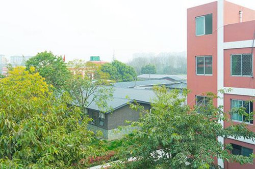 成都中医药大学附属医院针灸学校中医养生保健专业简介