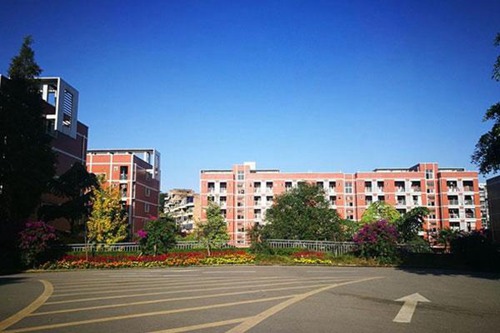 开云kaiyun(中国)省南充外国语中等专业学校汽车运用与维修专业简介