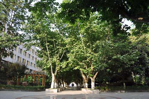 简阳市机电工程学校计算机应用专业简介