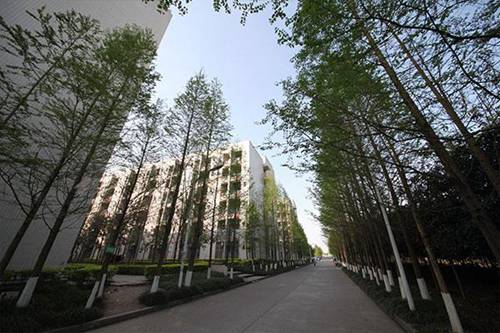 邯郸粮食中专学校2022年开设了什么专业