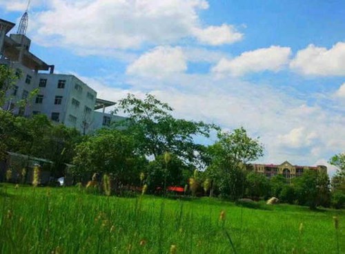 会东县职业技术学校汽车美容与装潢专业简介