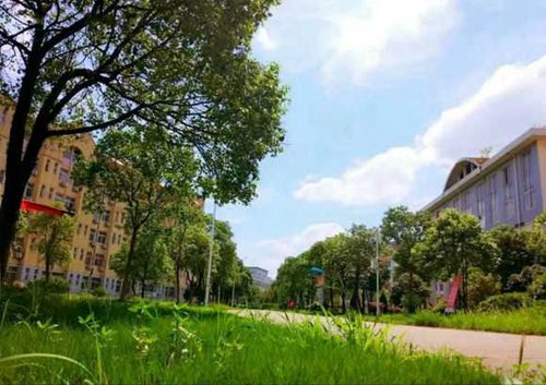开云kaiyun(中国)省宜宾市工业职业技术学校电子技术应用专业简介