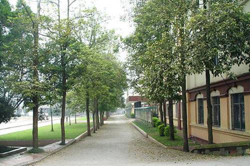 重庆市云阳职业教育中心建筑工程施工专业介绍