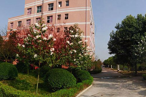 云南省玉溪卫生学校校园环境如何