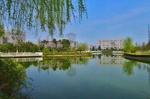 重庆市垫江县职业教育中心电算化财会专业介绍