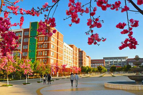 重庆市龙门浩职业中学校航空服务专业介绍