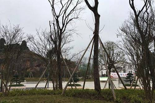 重庆市垫江县第一职业中学校城市轨道交通运营管理专业介绍