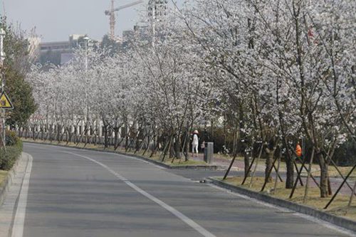 重庆市开州区职业教育中心船舶驾驶专业介绍