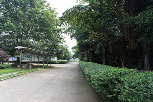 重庆市红春藤技工学校护理(养老护理员)专业介绍