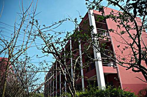 2022年九江职业大学数学教育专业招生