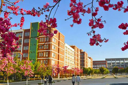 开远市职业高级中学2022年招生简章(招生专业及计划和学费)(招生计划、招生简章)