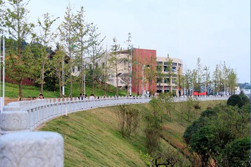 楚雄医药高等专科学校热门专业