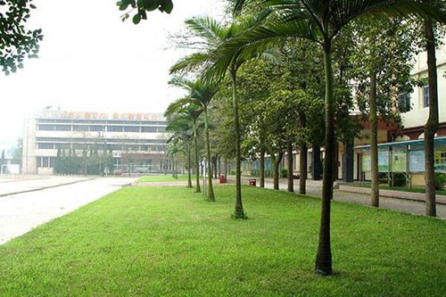 重庆市立信职业教育中心数字媒体数字应用专业介绍