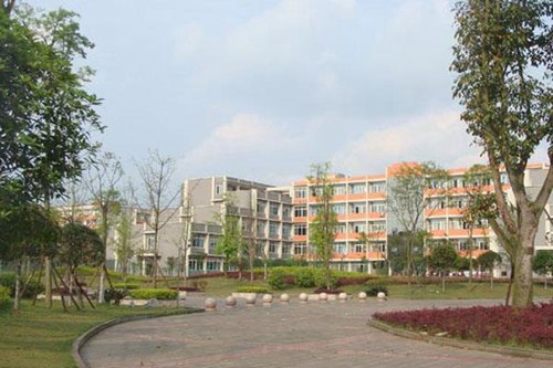 重庆大学城市科技学院航空服务专业介绍