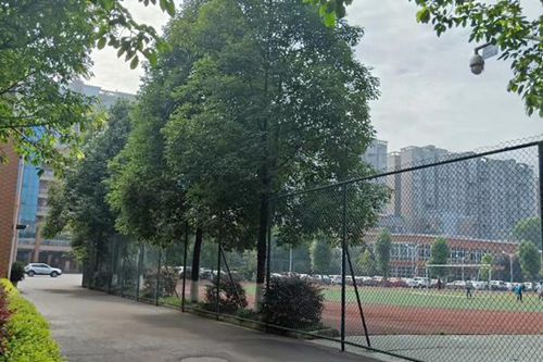 重庆市联合技工学校数字媒体技术应用专业介绍