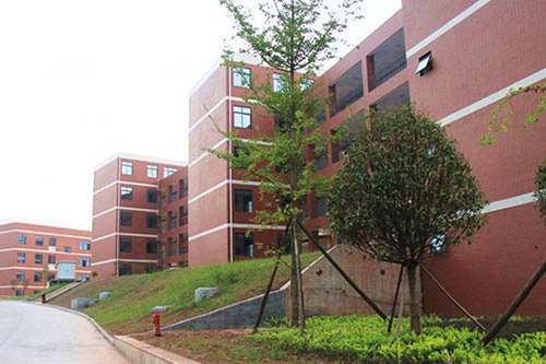 重庆市商务学校软件与信息服务专业介绍