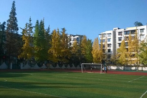 重庆市巴南职业教育中心电子商务专业介绍