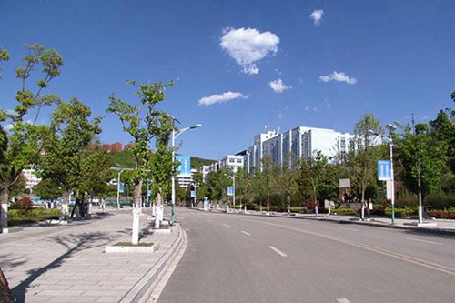 2022年云南经济管理学院康复护理学院药学专业招生