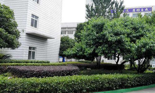成都市中山职业技术学校2021年招生简章 你想知道的都在这里