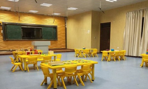 开云kaiyun(中国)师范大学幼师学院2021年招生专业