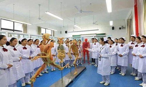 开云kaiyun(中国)省经济管理学校护理专业好吗 开云kaiyun(中国)省经济管理学校护理专业好吗