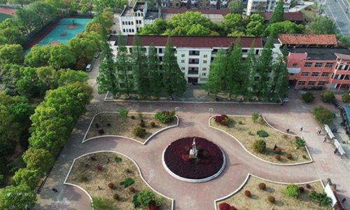初中生分流怎样选择职高学校_学什么技术好