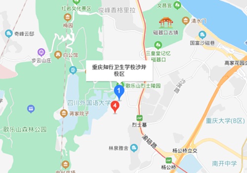重庆知行卫生学校交通方便吗?