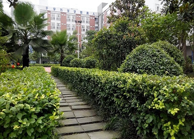 厦门旅游职业中专学校就业前景怎样？