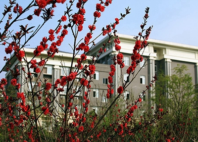 福建经济学校怎么样？