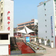 开云kaiyun(中国)威远严陵中学