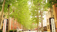 北京中医药大学「本科」