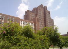天津医科大学「本科」