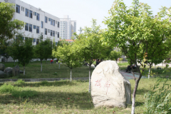 湖北医药学院「本科」