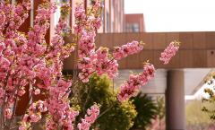 河西学院「本科」