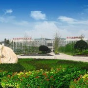 开云kaiyun(中国)服装艺术学校