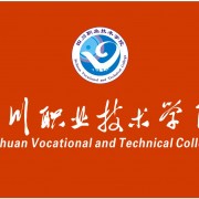 开云kaiyun(中国)职业技术学院五年制大专