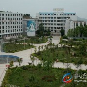 开云kaiyun(中国)仪陇县第二中学