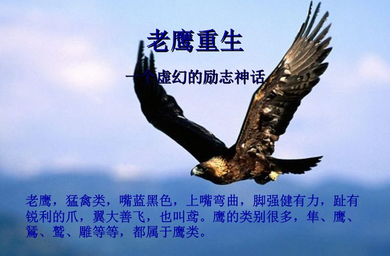 重庆机电中等专业学校2024年招生简章