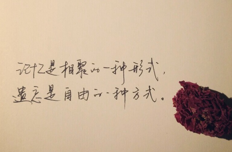 双流县华阳职业高级中学2024年招生简章