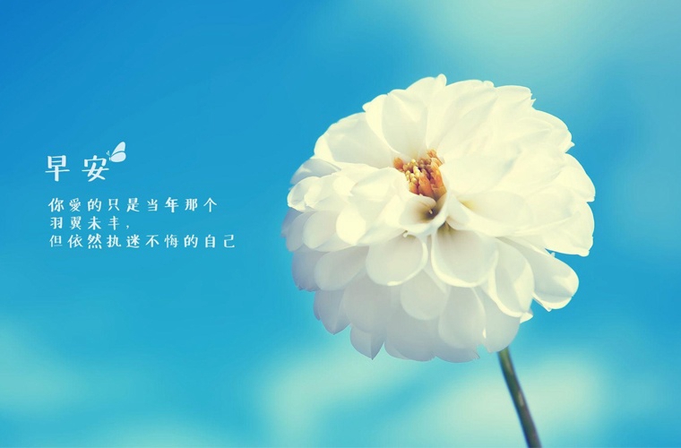 秦皇岛奇石艺术学校2024年招生简章