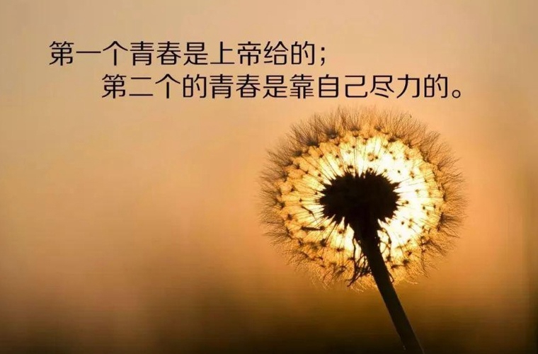 井冈山应用科技学校2024年招生简章