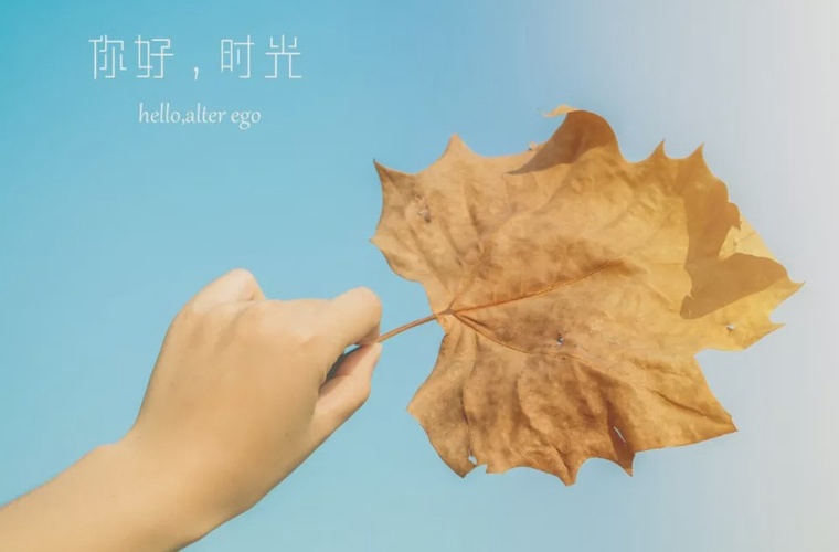 湖北体育运动学校2024年招生简章