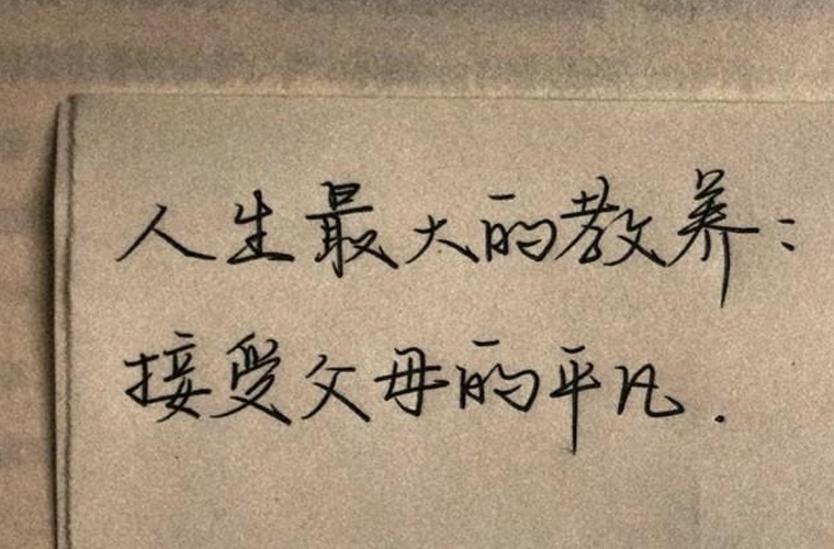 容城职教中心2024年招生简章