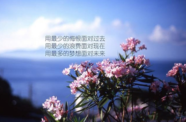 福建交通职业技术学校2024年招生简章