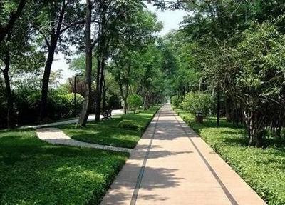 西安市职工大学2024年招生简章