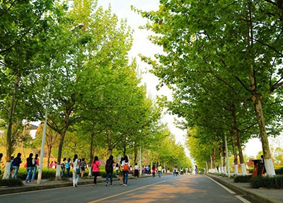 忻州新能源职业学校2024年招生简章