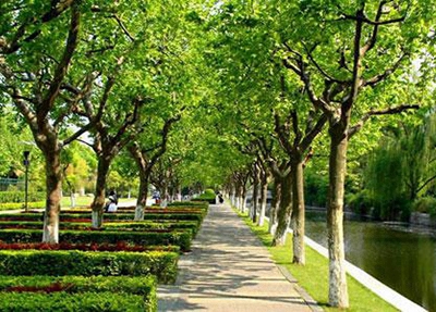 藁城市职教中心2024年招生简章