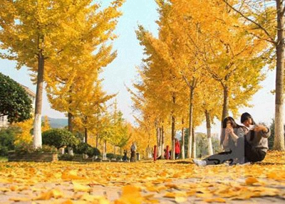 北京古城旅游职业学校2024年招生简章